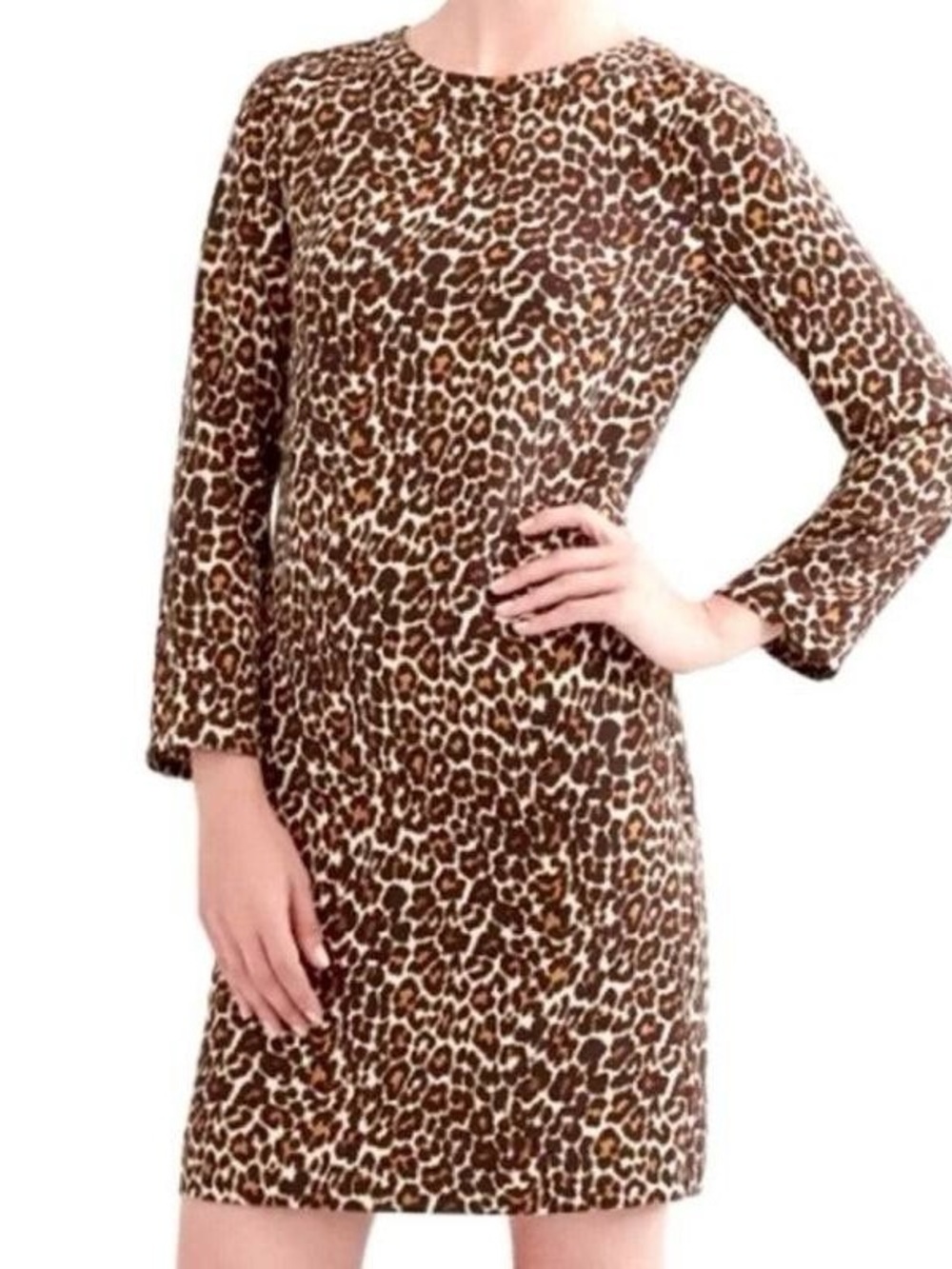 J. Crew Leopard Print Dress in Brown and Black